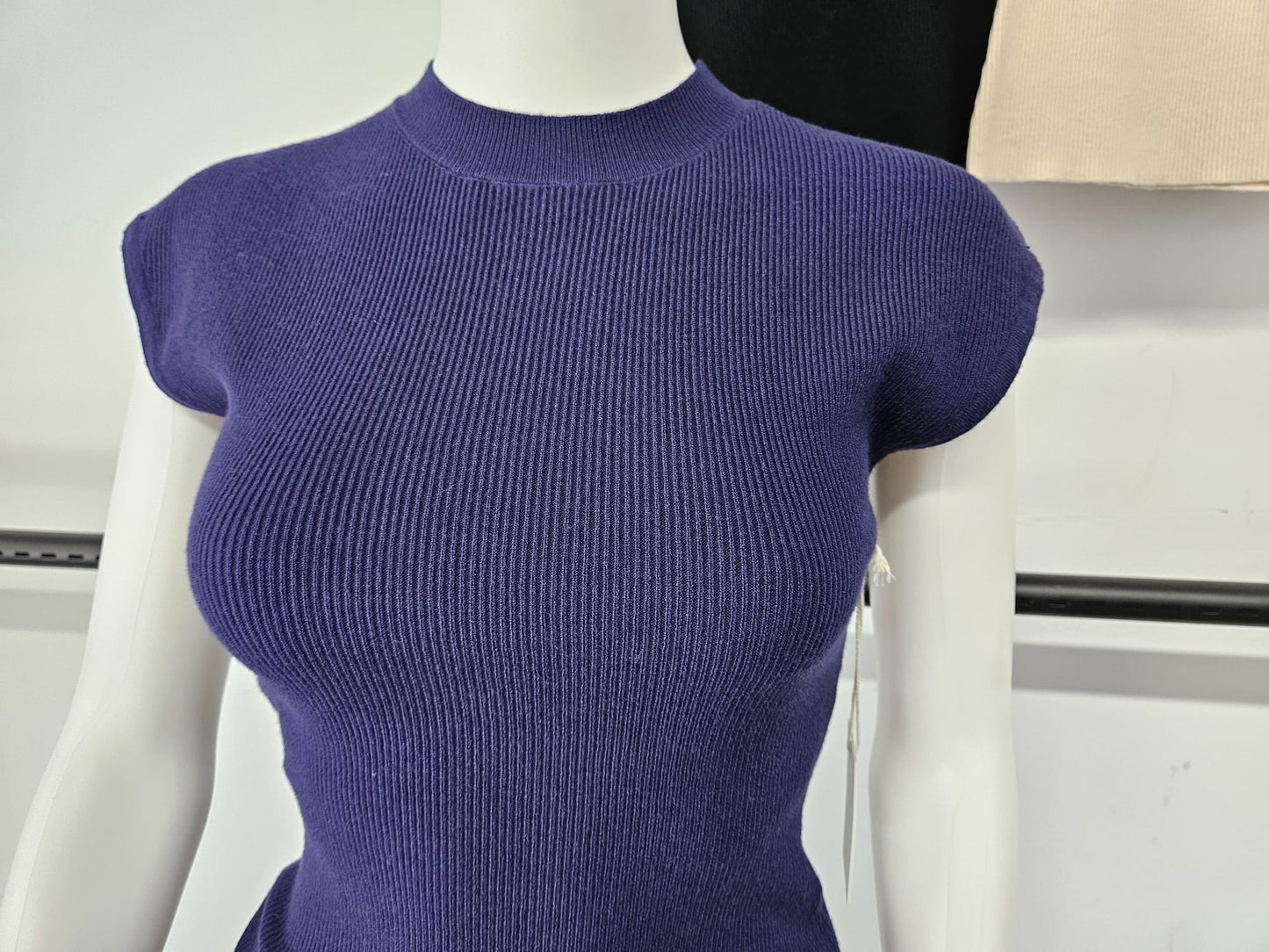 Timeless Ribbed High-Neck Fitted Top